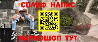 хмурый Бийск