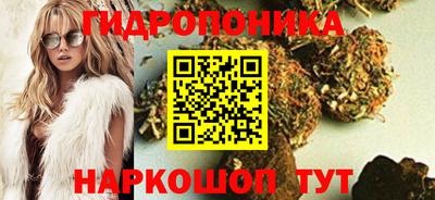 хмурый Бийск