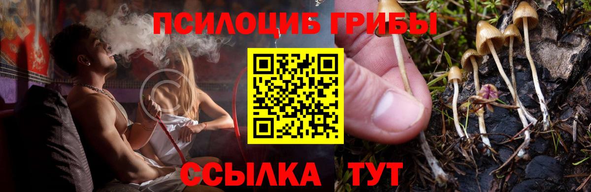 Псилоцибиновые грибы мицелий  Галлюциногенные грибы мицелий  Вход с VPN  Зеленокумск 